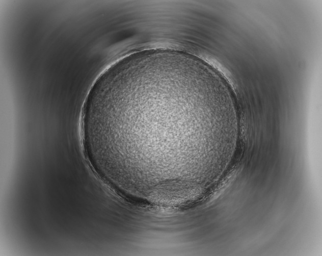 X0000093620983200710221543