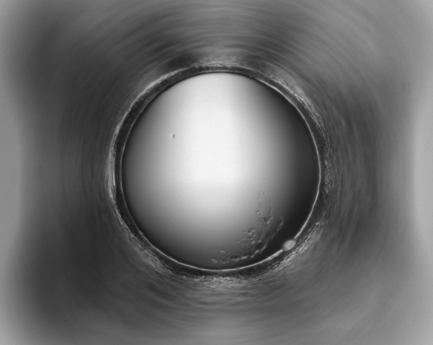 X0000093620984200710221543
