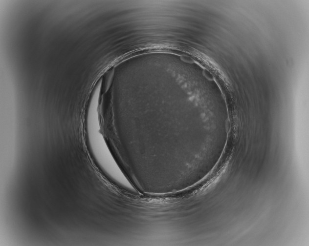 X0000093620985200710221543