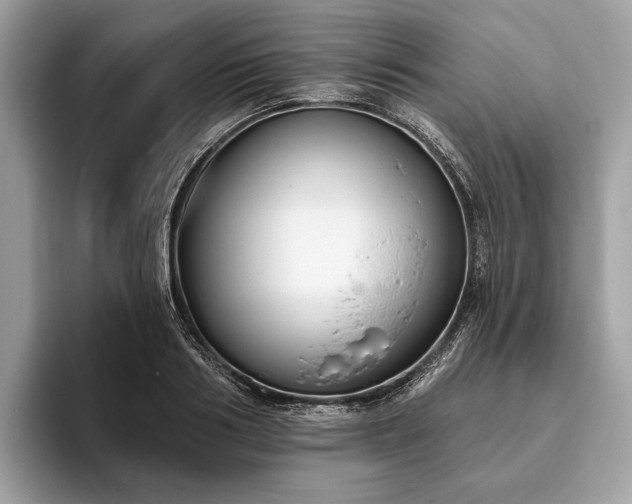 X0000093620986200710221543