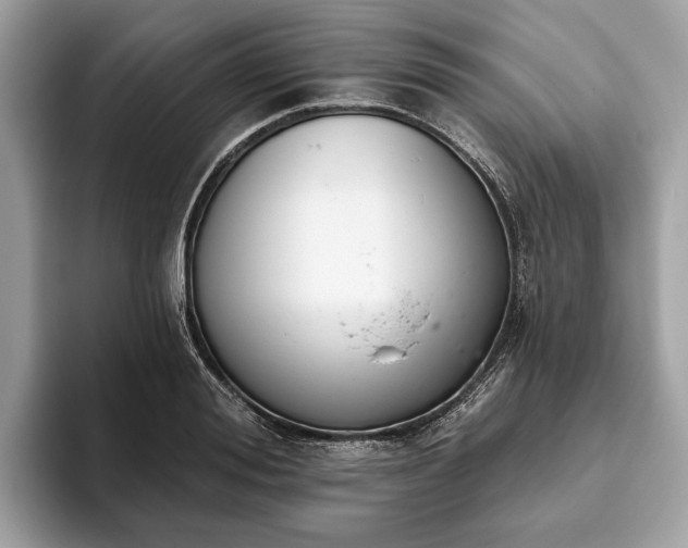 X0000093620988200710221543