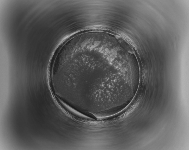 X0000093620989200710221543