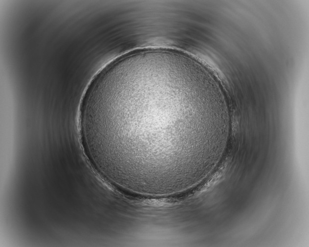 X0000093620990200710221543