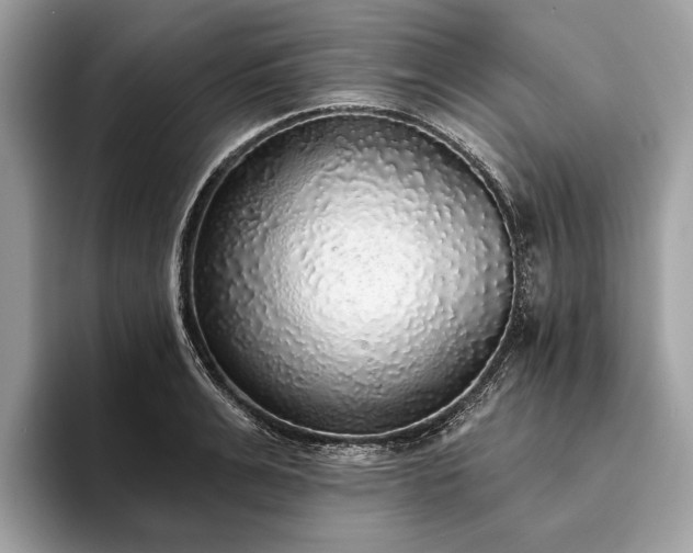 X0000093620991200710221543
