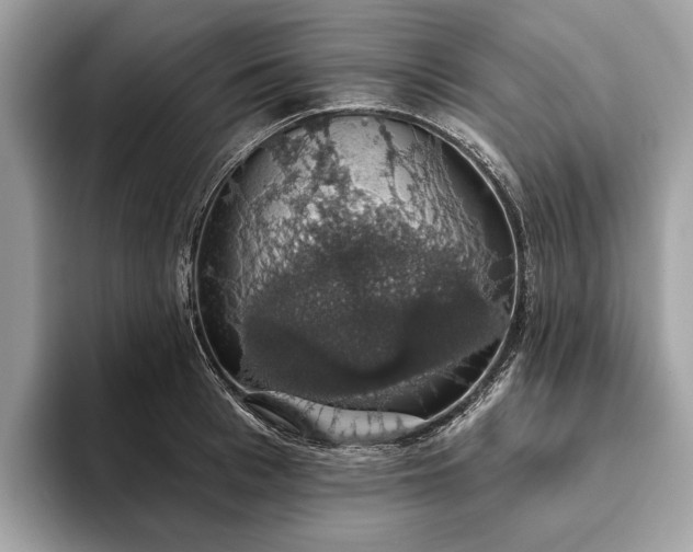 X0000093620993200710221543