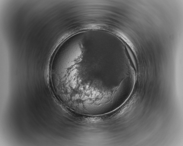 X0000093620994200710221543