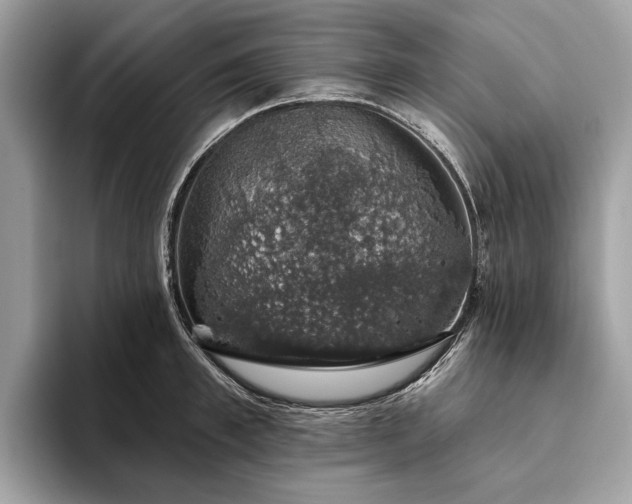 X0000093620997200710221543