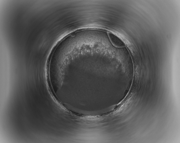 X0000093620998200710221543