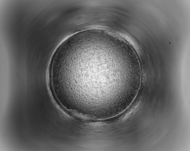 X0000093620999200710221543