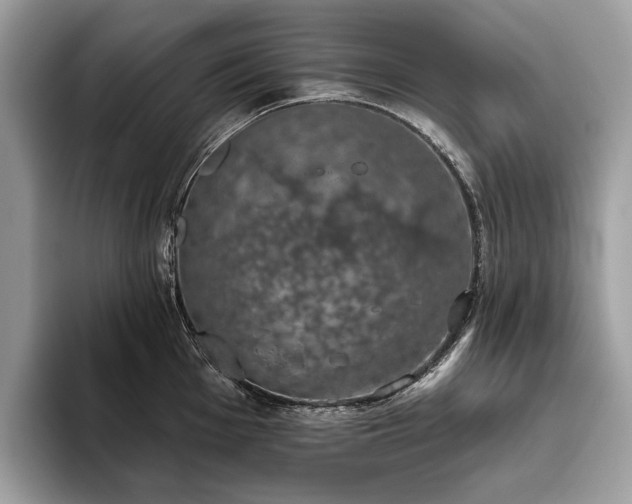 X0000093621001200710221543