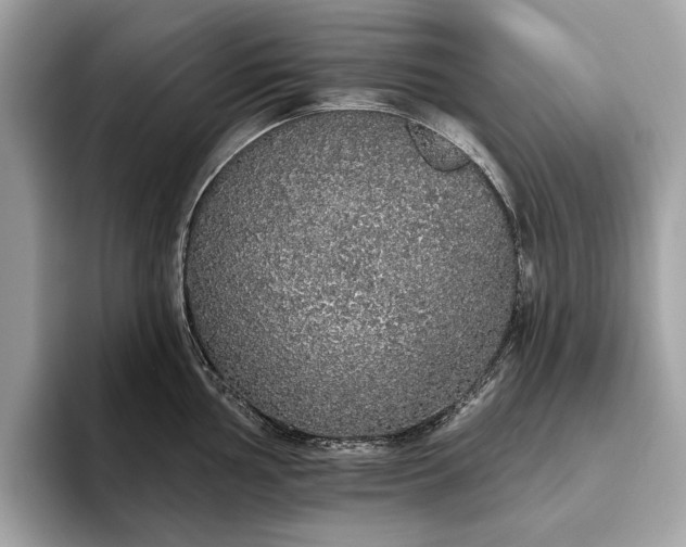 X0000093621002200710221543