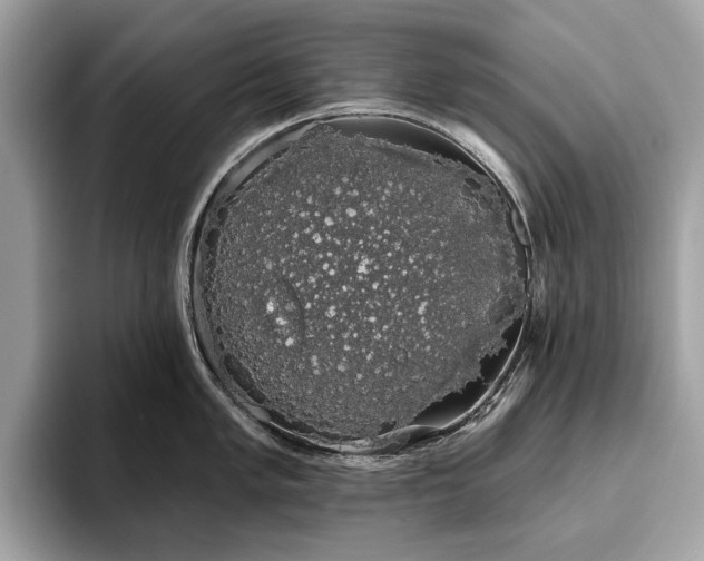 X0000093621005200710221542