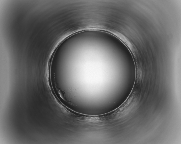 X0000093621006200710221542