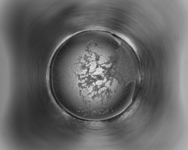 X0000093621007200710221542