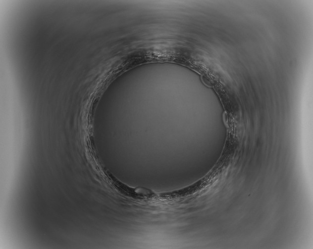 X0000093621009200710221542