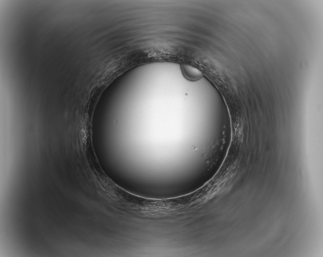 X0000093621012200710221542