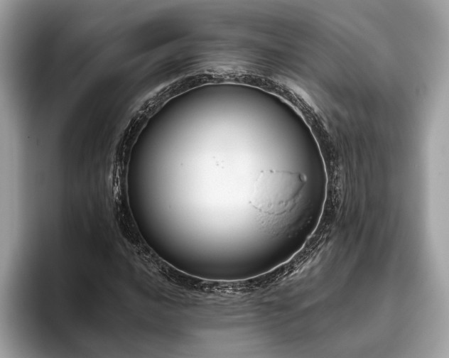 X0000093621016200710221542