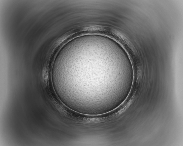 X0000093621017200710221542