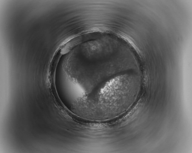 X0000093621018200710221542