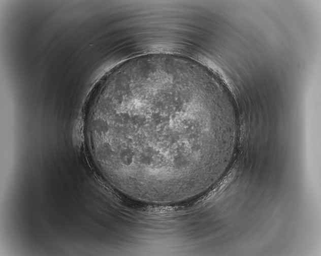 X0000093621019200710221542