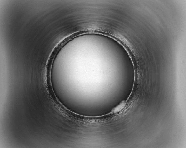 X0000093621020200710221542