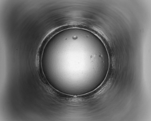 X0000093621021200710221542