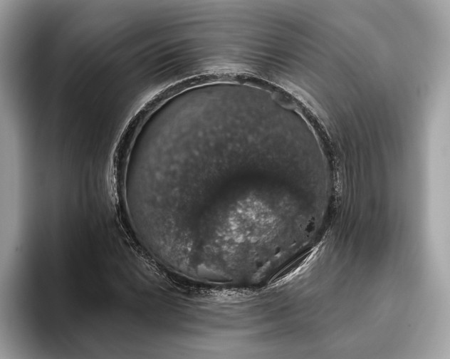 X0000093621022200710221542
