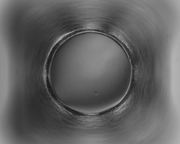 X0000093621024200710221542