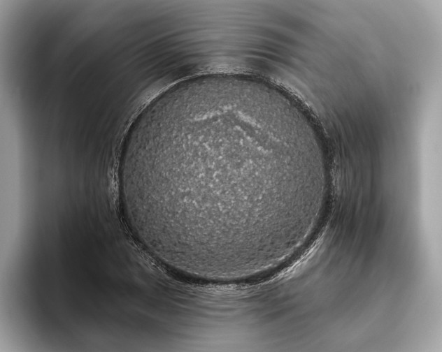 X0000093621025200710221542