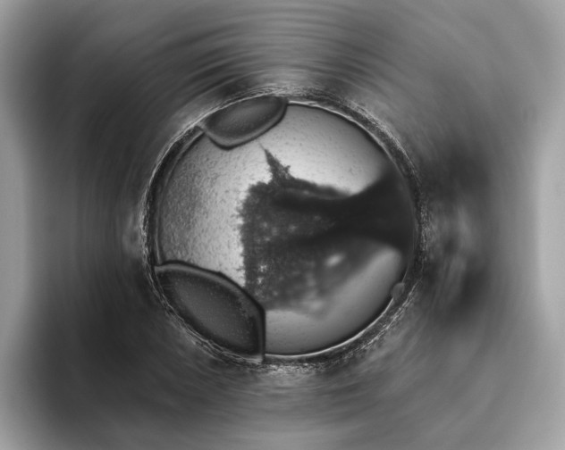 X0000093621026200710221542