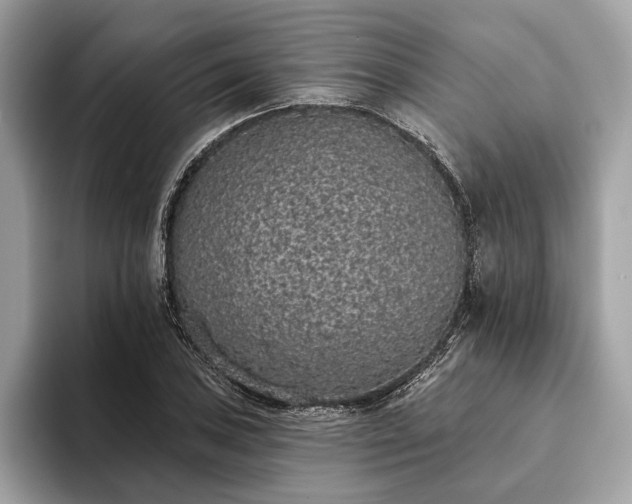 X0000093621027200710221542