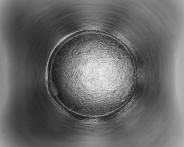 X0000093621028200710221542