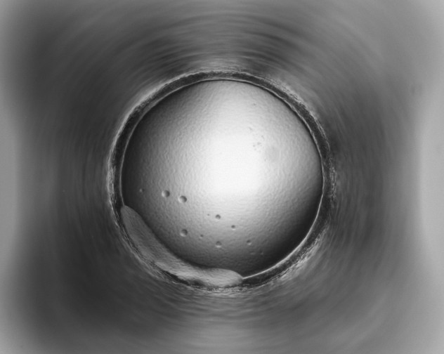 X0000093621029200710221542
