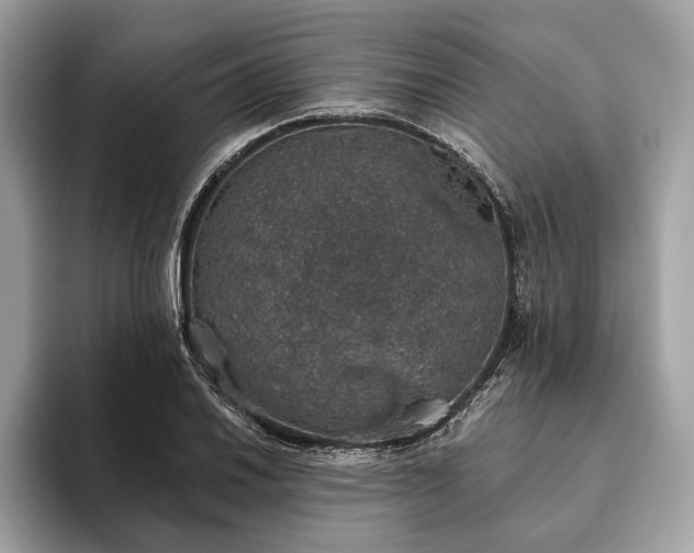 X0000093621030200710221542