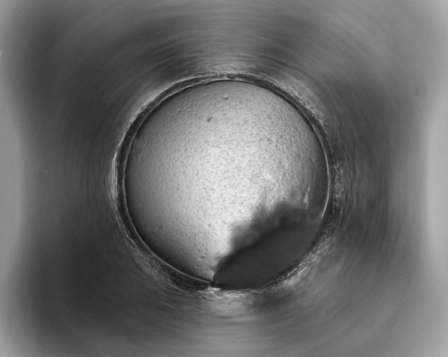 X0000093621031200710221542
