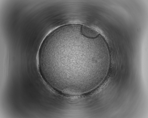 X0000093621032200710221542