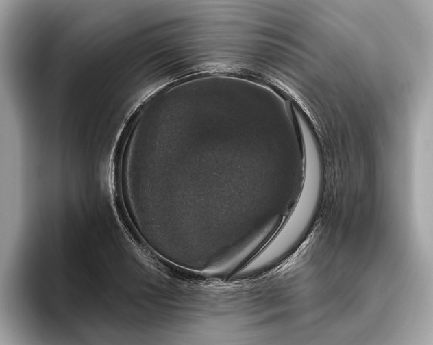 X0000093621034200710221542