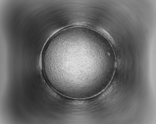 X0000093621036200710221542