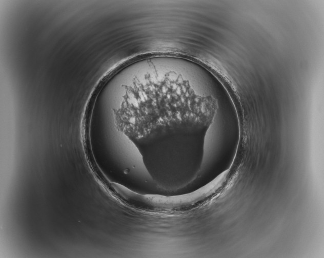 X0000093621037200710221542