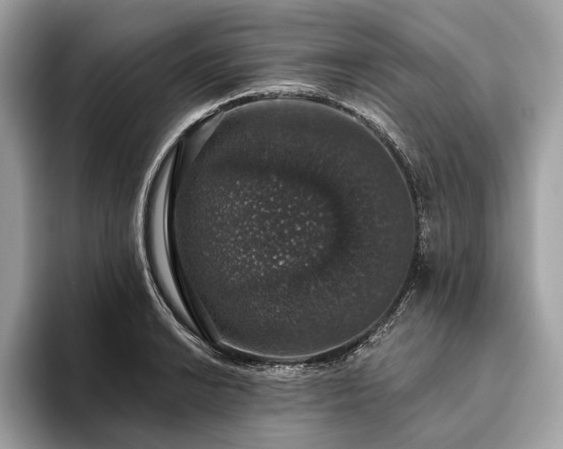 X0000093621038200710221542