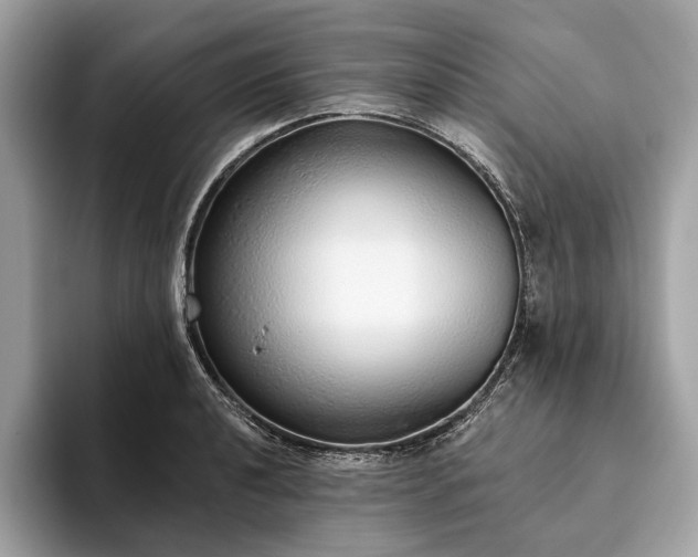 X0000093621040200710221542
