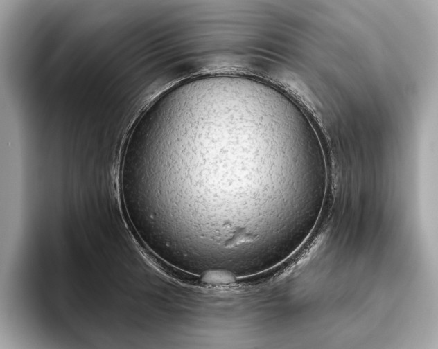 X0000093621041200710221542