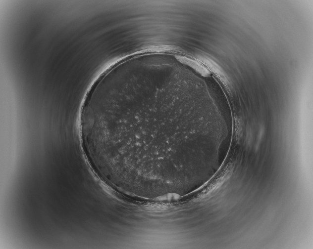 X0000093621046200710221542