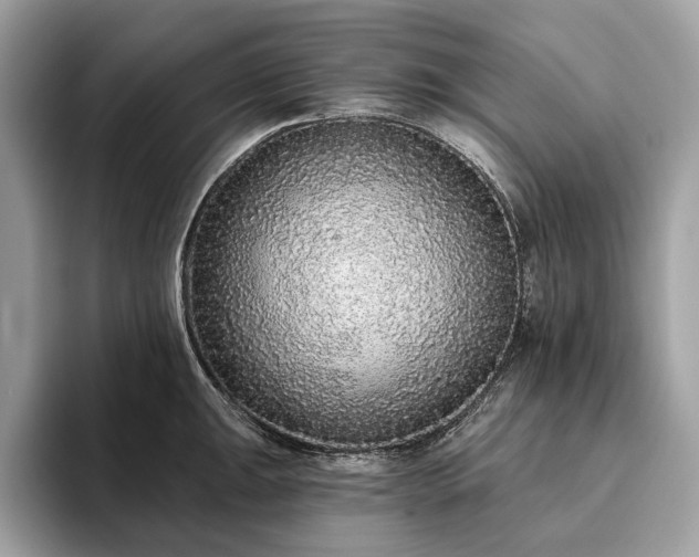X0000093621047200710221542