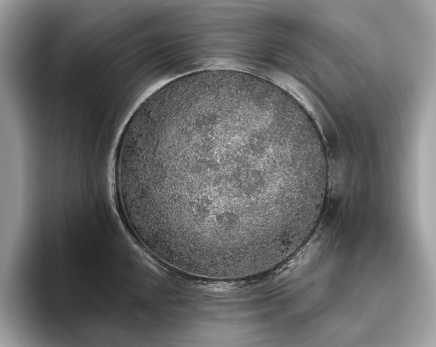 X0000093621048200710221542