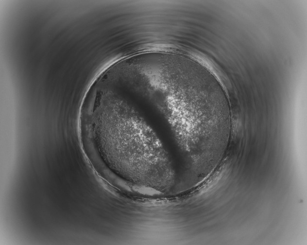 X0000093621050200710221542