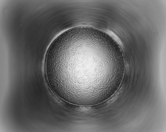 X0000093621052200710221542