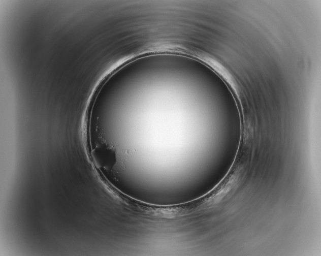 X0000093621053200710221542
