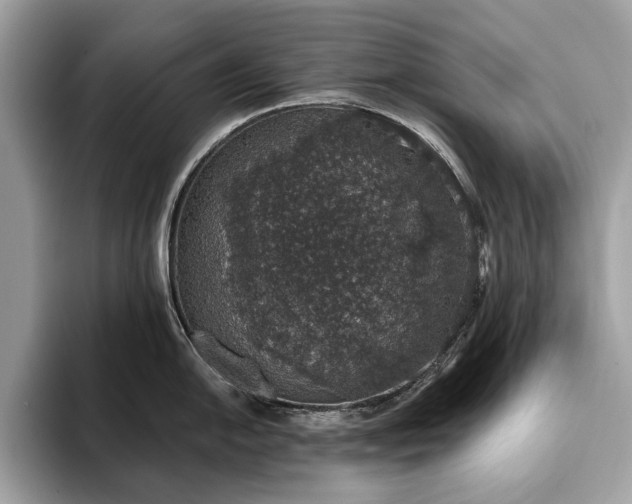 X0000093621054200710221542