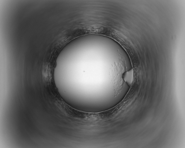 X0000093621058200710221542